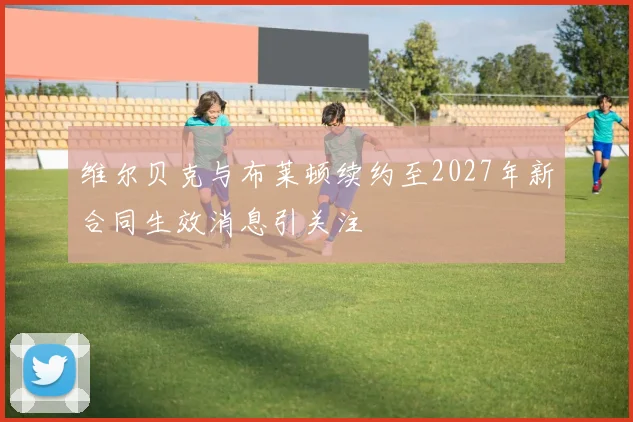 维尔贝克与布莱顿续约至2027年新合同生效消息引关注